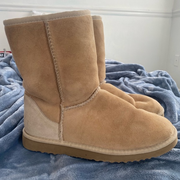 UGG boots (short) - Picture 4 of 5